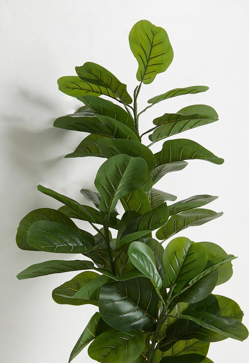 Sixth Floor - Fiddleleaf Artificial tree 150cm