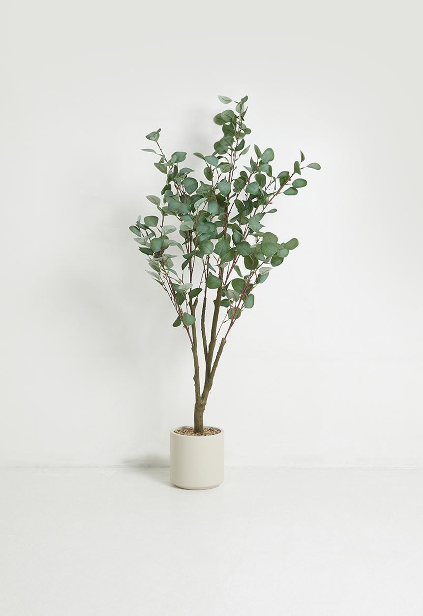 Sixth Floor - Eucalyptus Tree Artificiail Plant 120cm