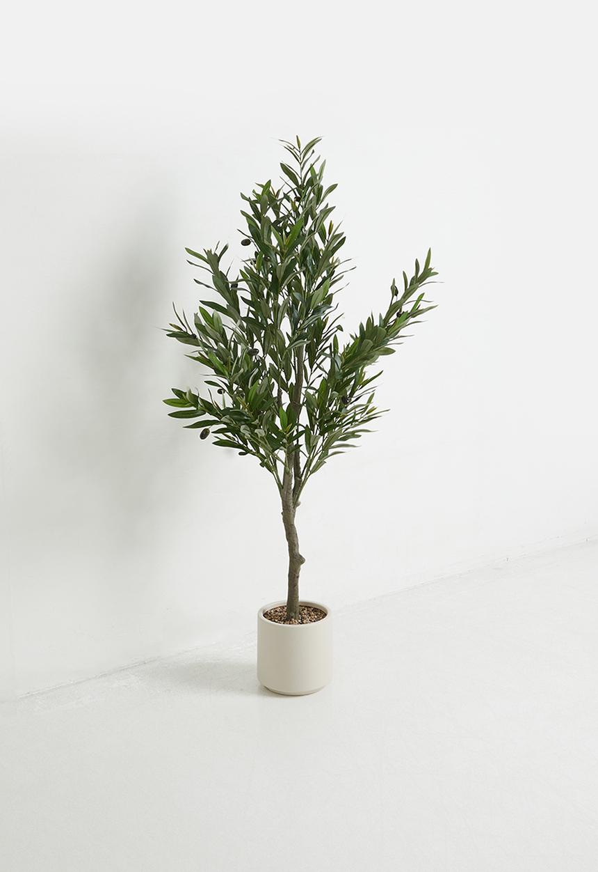 Sixth Floor - Olive Tree Artificial Plant 130cm
