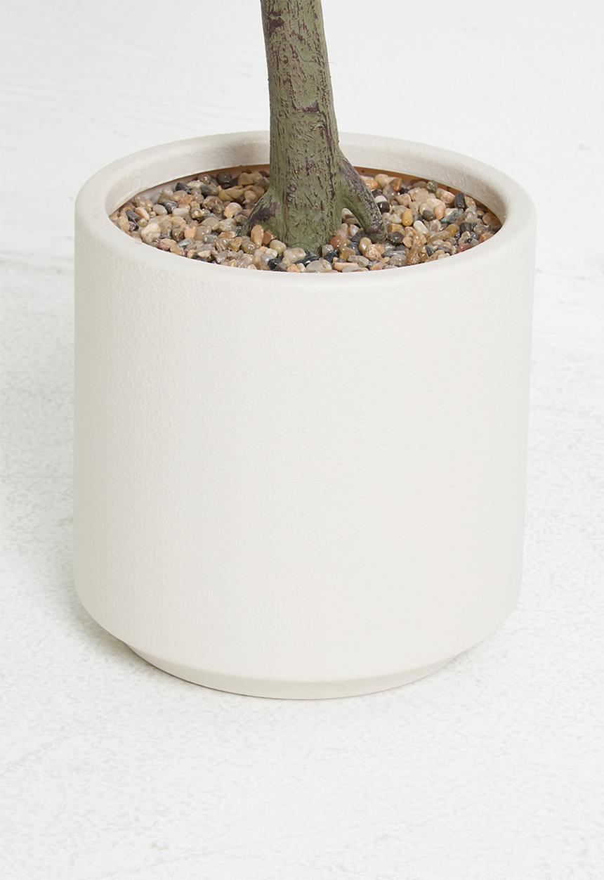 Sixth Floor - Olive Tree Artificial Plant 130cm