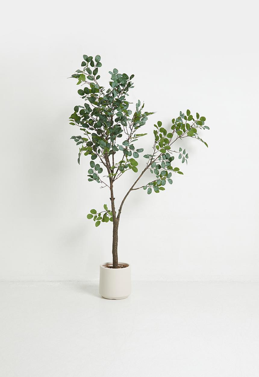 Sixth Floor - Loropetalum Tree Artifiical Plant 130cm