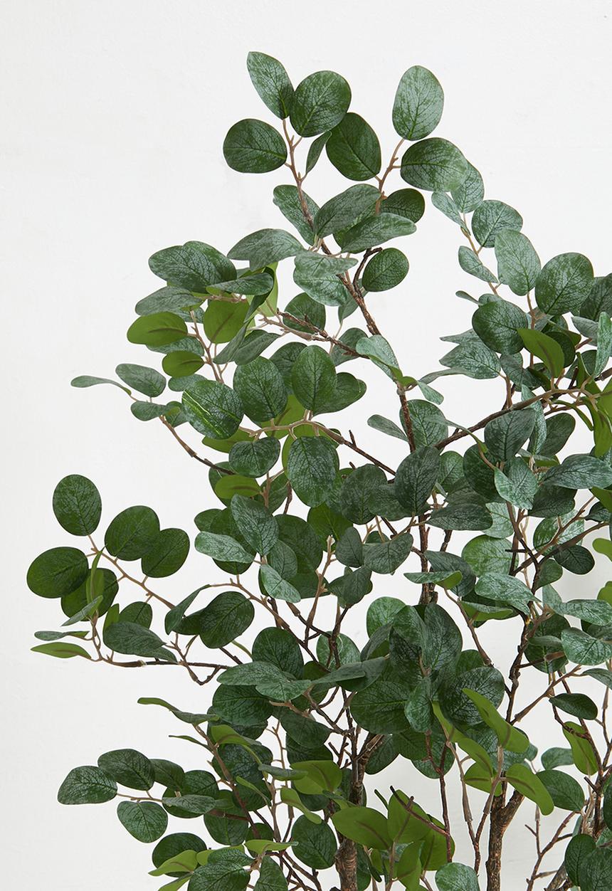 Sixth Floor - Loropetalum Tree Artifiical Plant 130cm