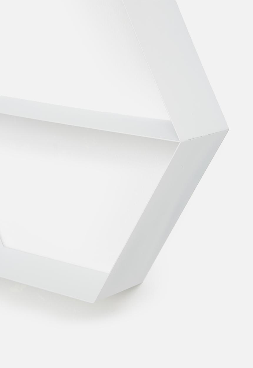 Sixth Floor - Metal hexagon shelf