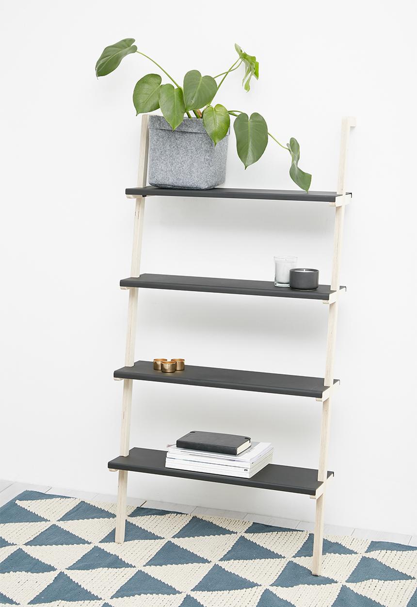 Emerging Creatives - Den shelf
