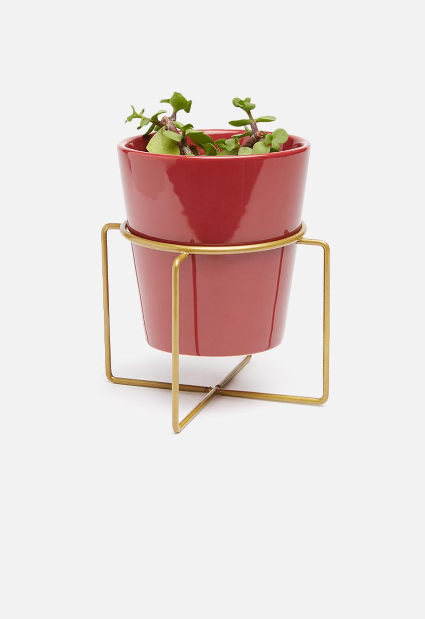 Present Time - Coy ceramic plant pot