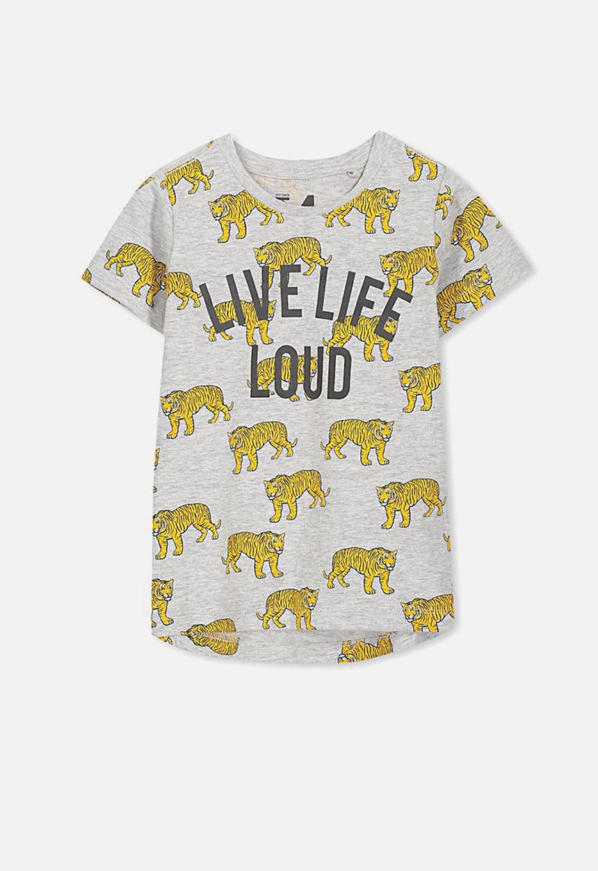 Cotton On - Max short sleeve tee - grey