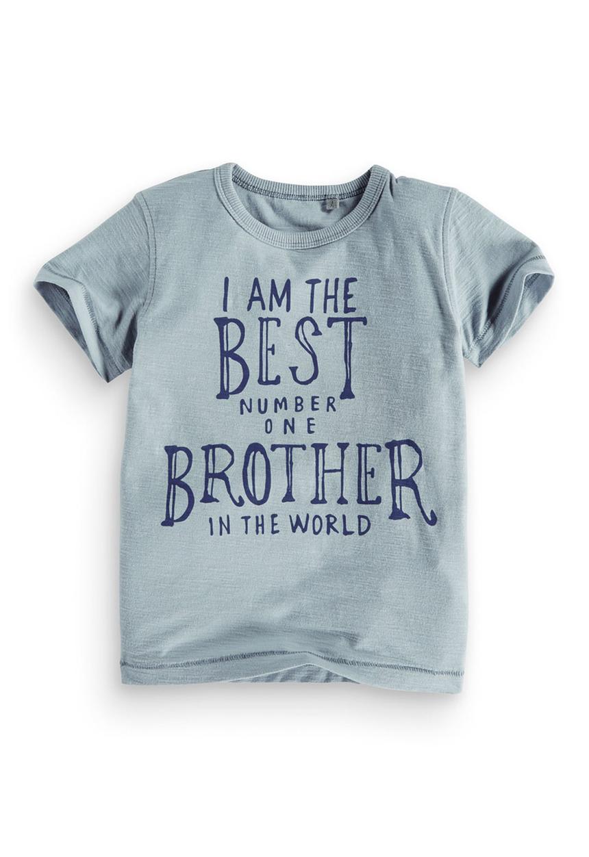 Next - Best brother t-shirt Pale Blue