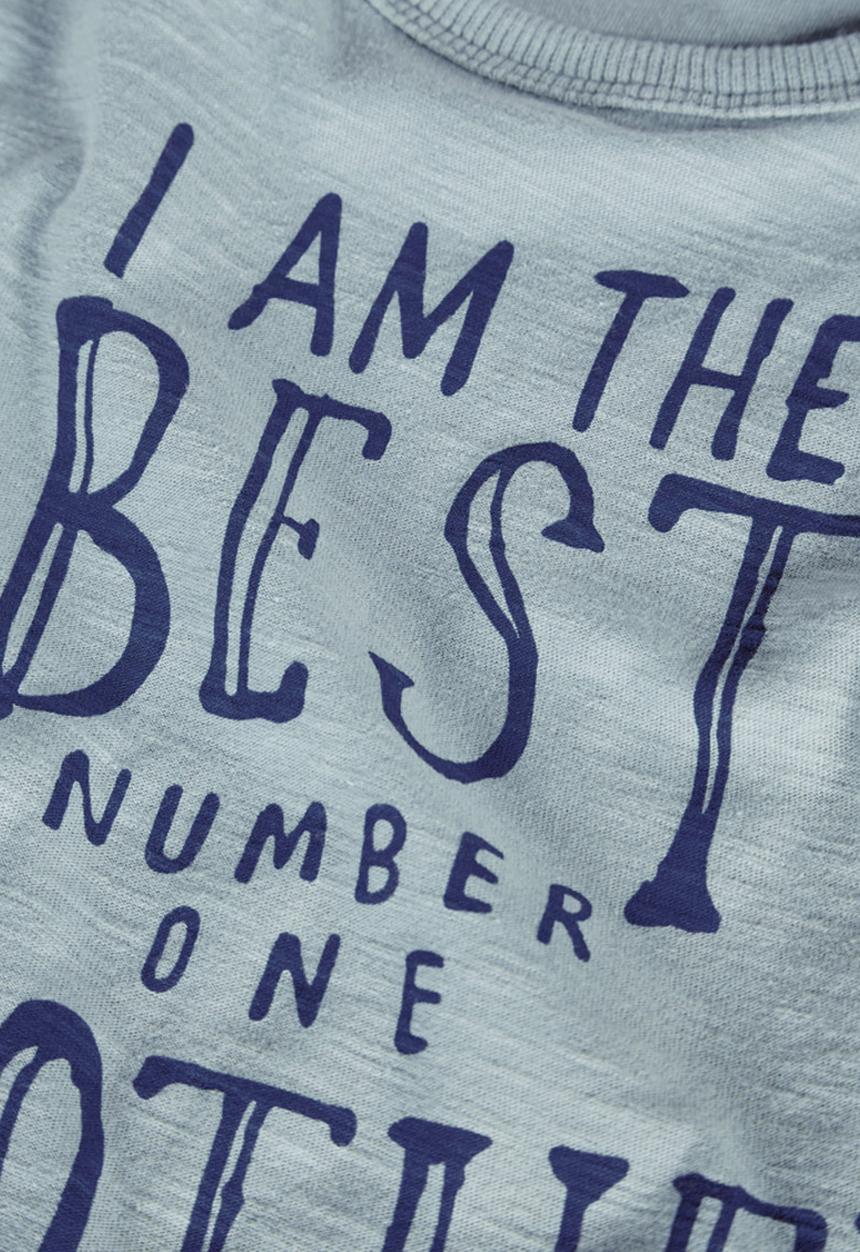 Next - Best brother t-shirt Pale Blue