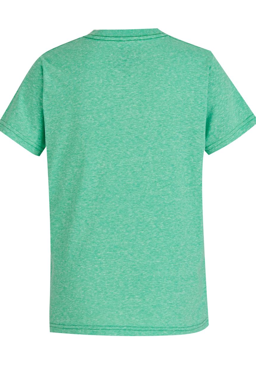 Quiksilver - Boneyard   Boys Tee Light Green