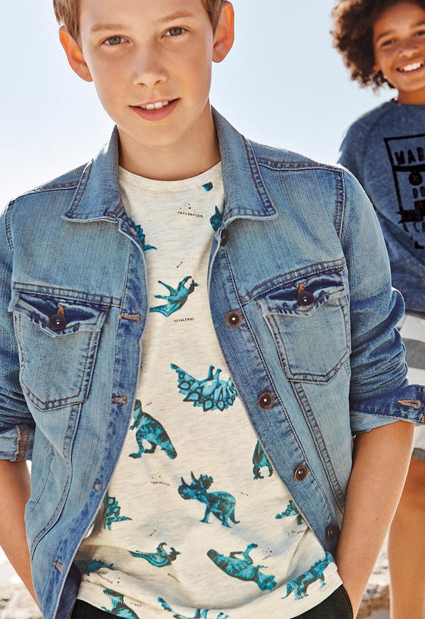 Next - Dino T-shirt Stone