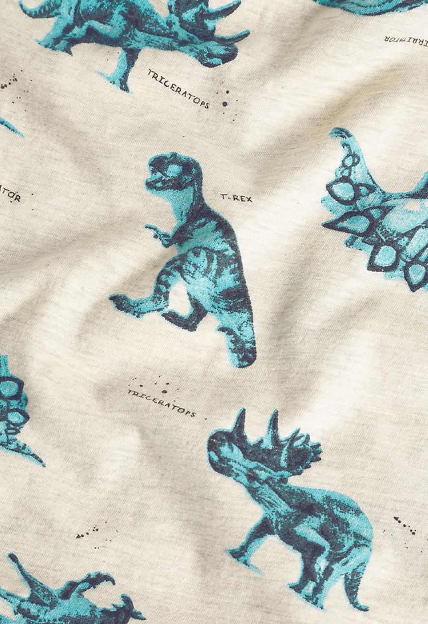Next - Dino T-shirt Stone