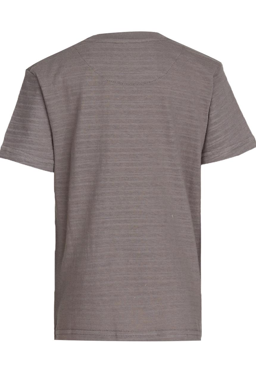 Lizzard - Fremont Tee Grey