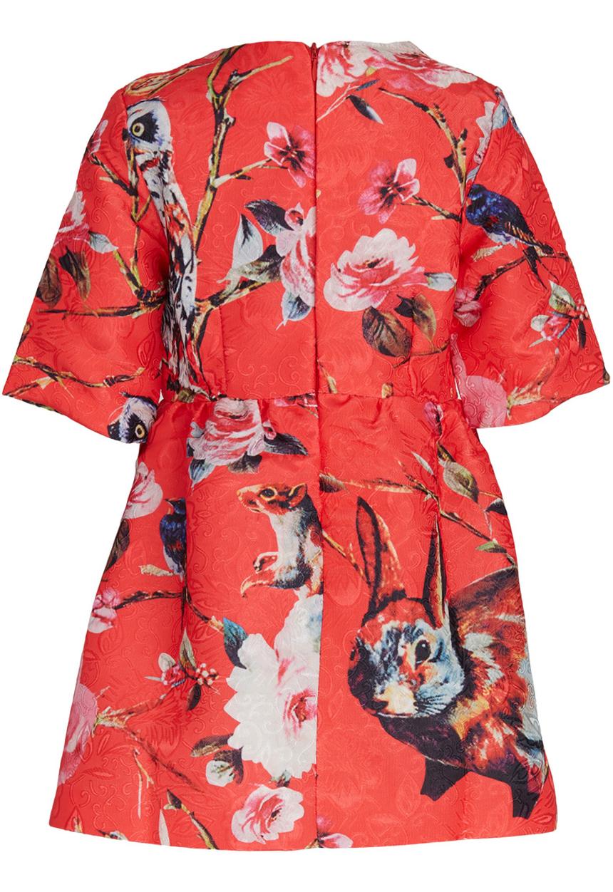 Pop Candy - Floral Print Dress Coral