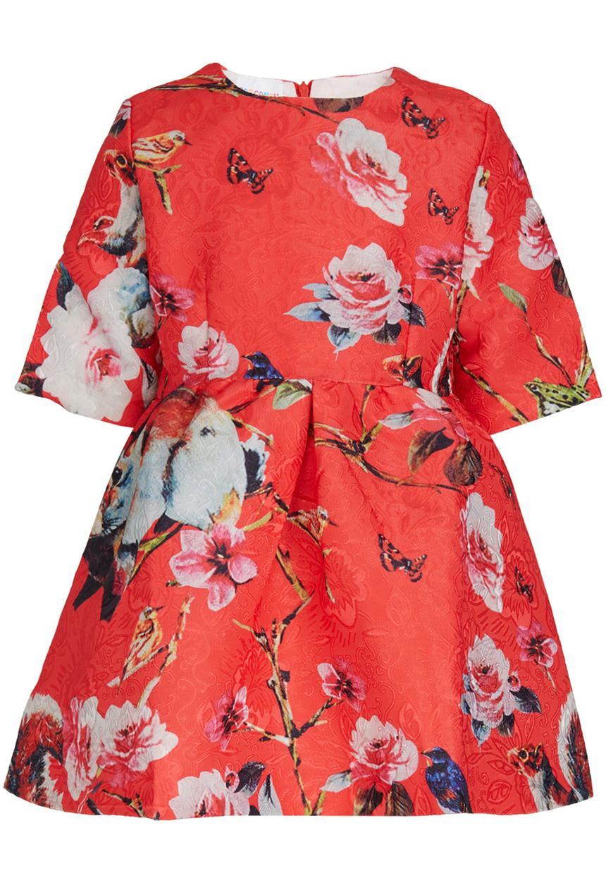 Pop Candy - Floral Print Dress Coral