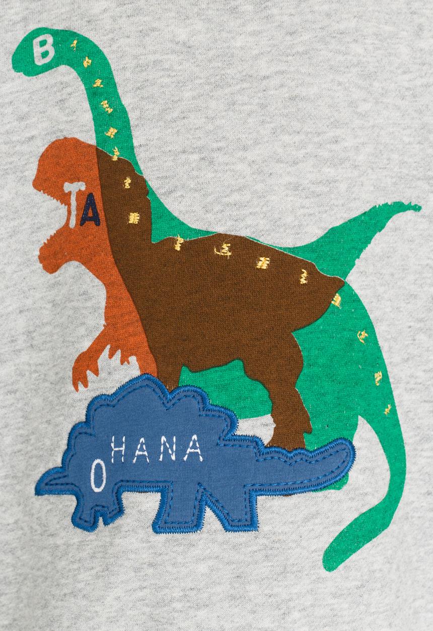 Pop Candy - Printed Dino Sweat Top Grey