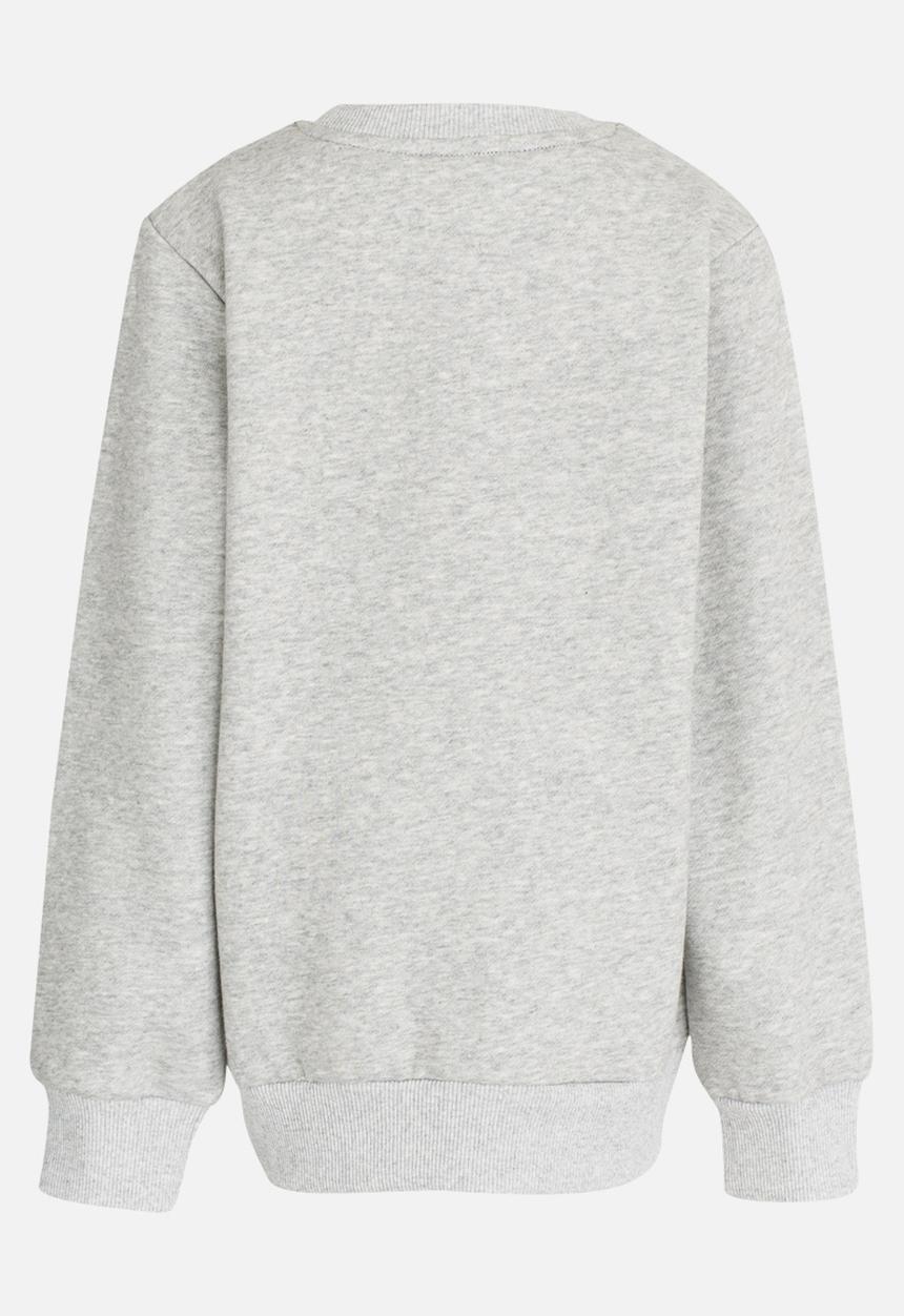 Pop Candy - Printed Dino Sweat Top Grey