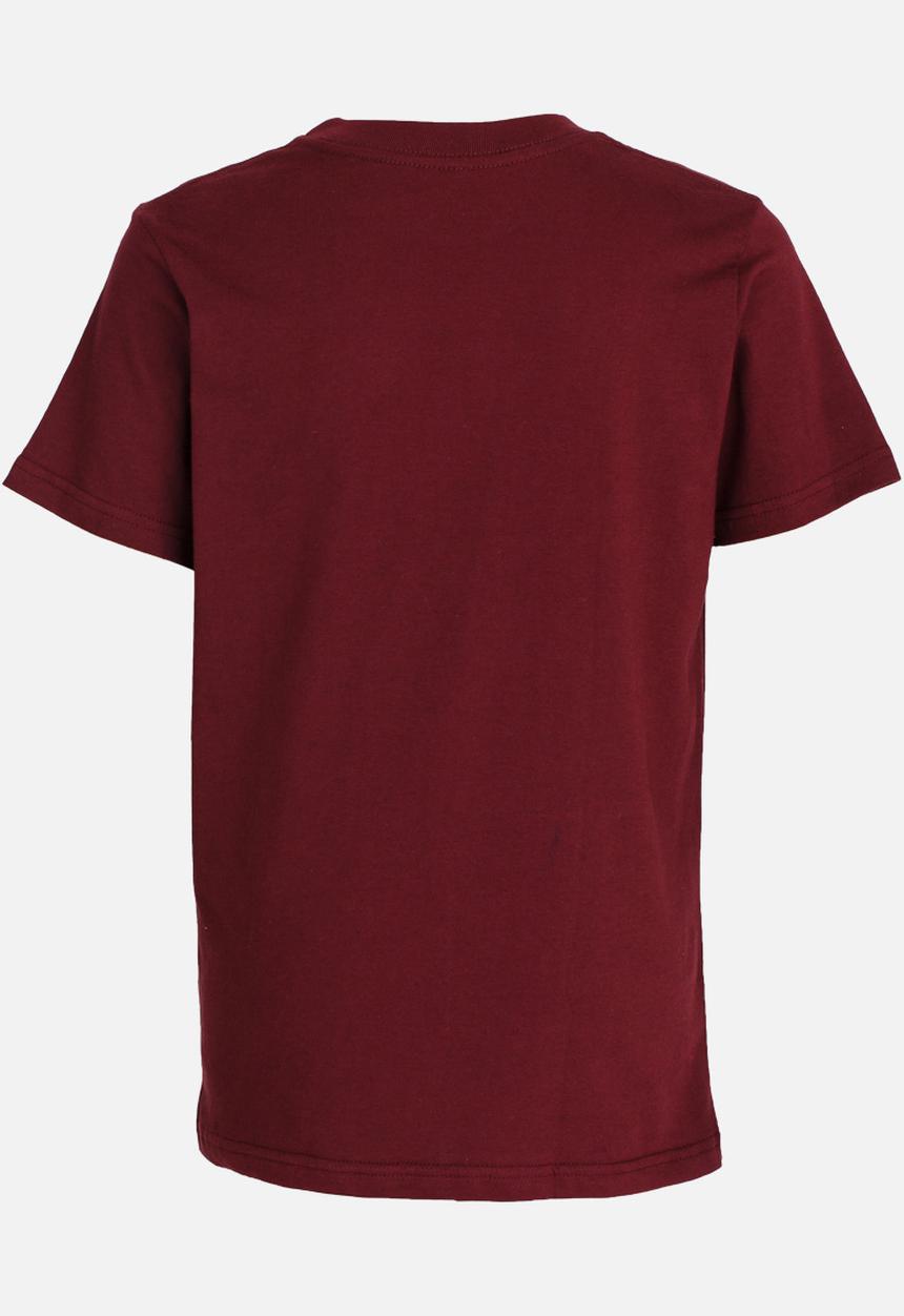 Quiksilver - Amethyst Short Sleeve Classic Fit Tee Burgundy