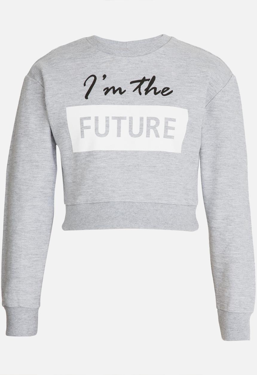 Rebel Republic - Printed Sweat Top Grey Melange