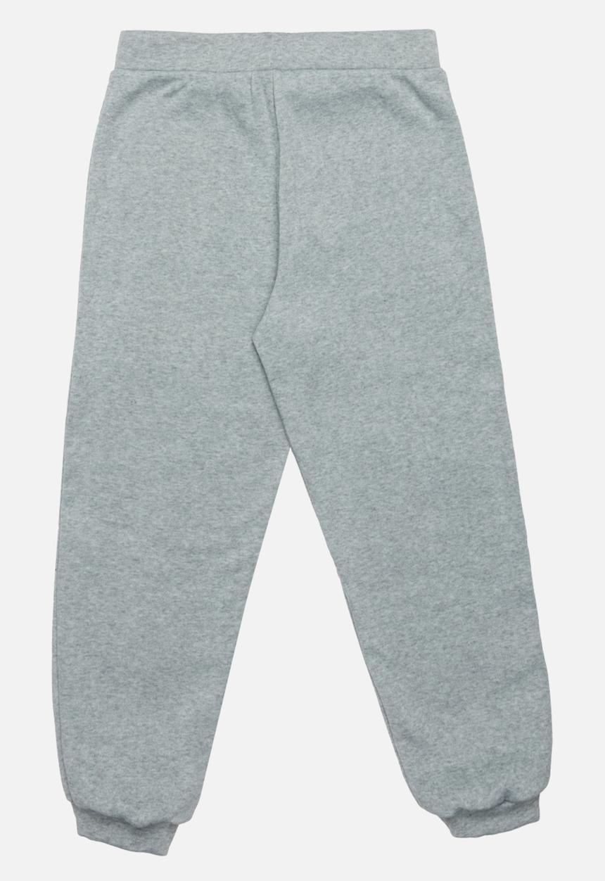 Rebel Republic - Flower Embroidered Pants Grey Melange