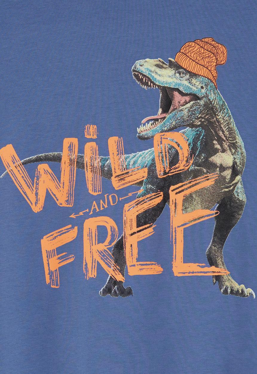 Soobe - Boys Printed Sweat Top Blue