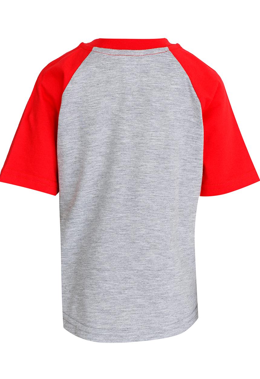 DC - Royal Banner   Short Sleeve Tods Tee Grey