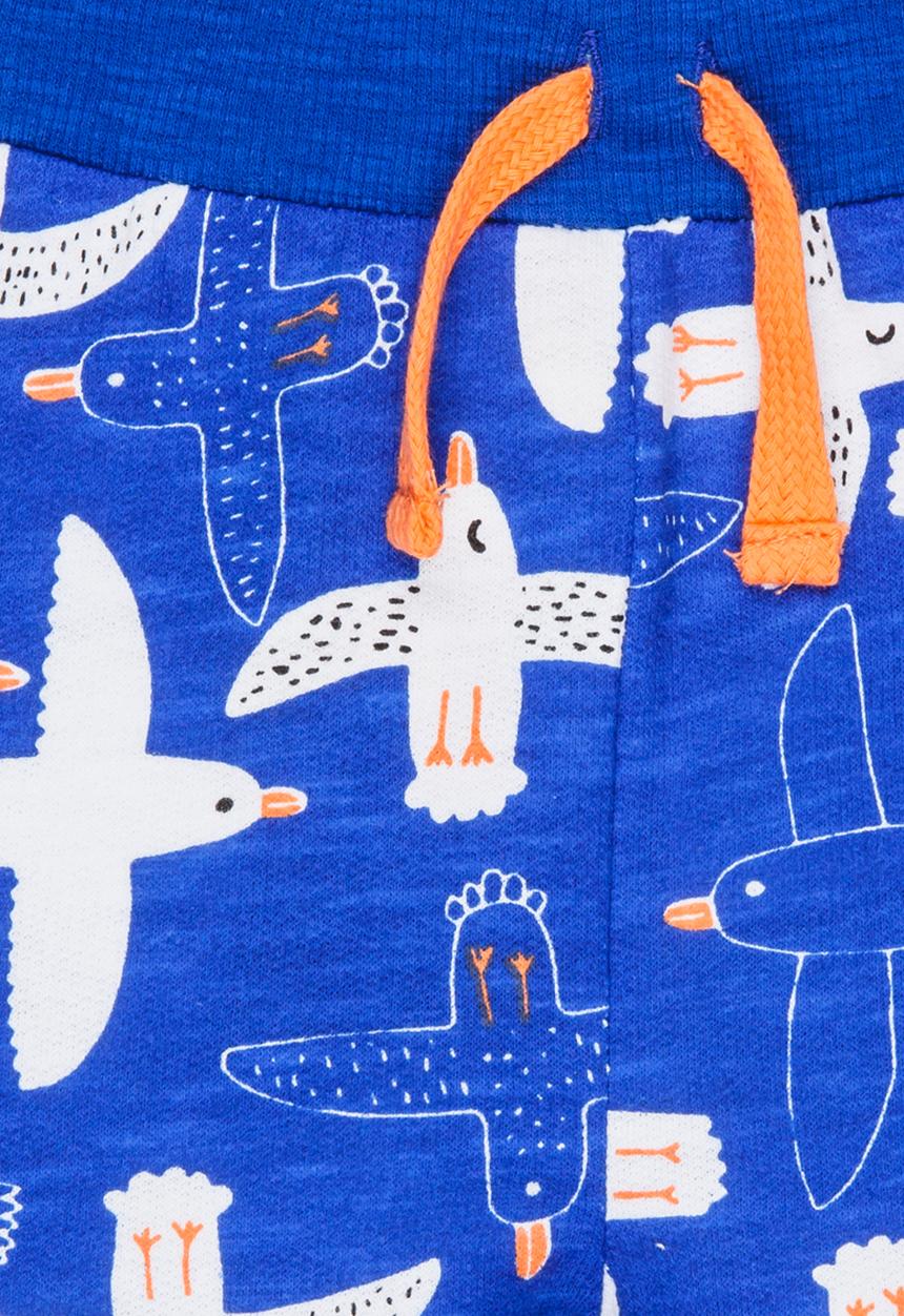 Soobe - Boys Printed Short Blue