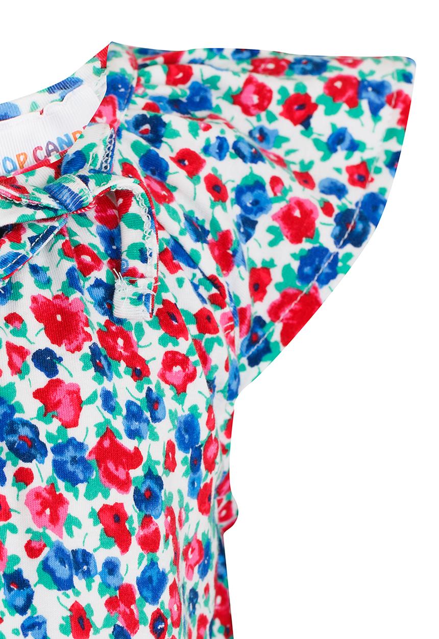 Pop Candy - Girls Printed   Dress Multi-colour