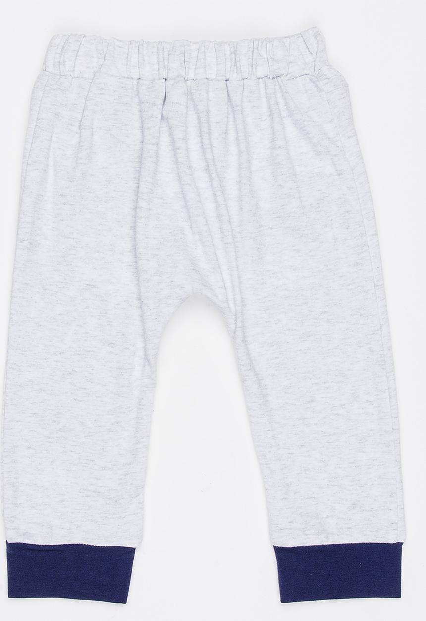 Pop Candy - Racoon Leggings Grey