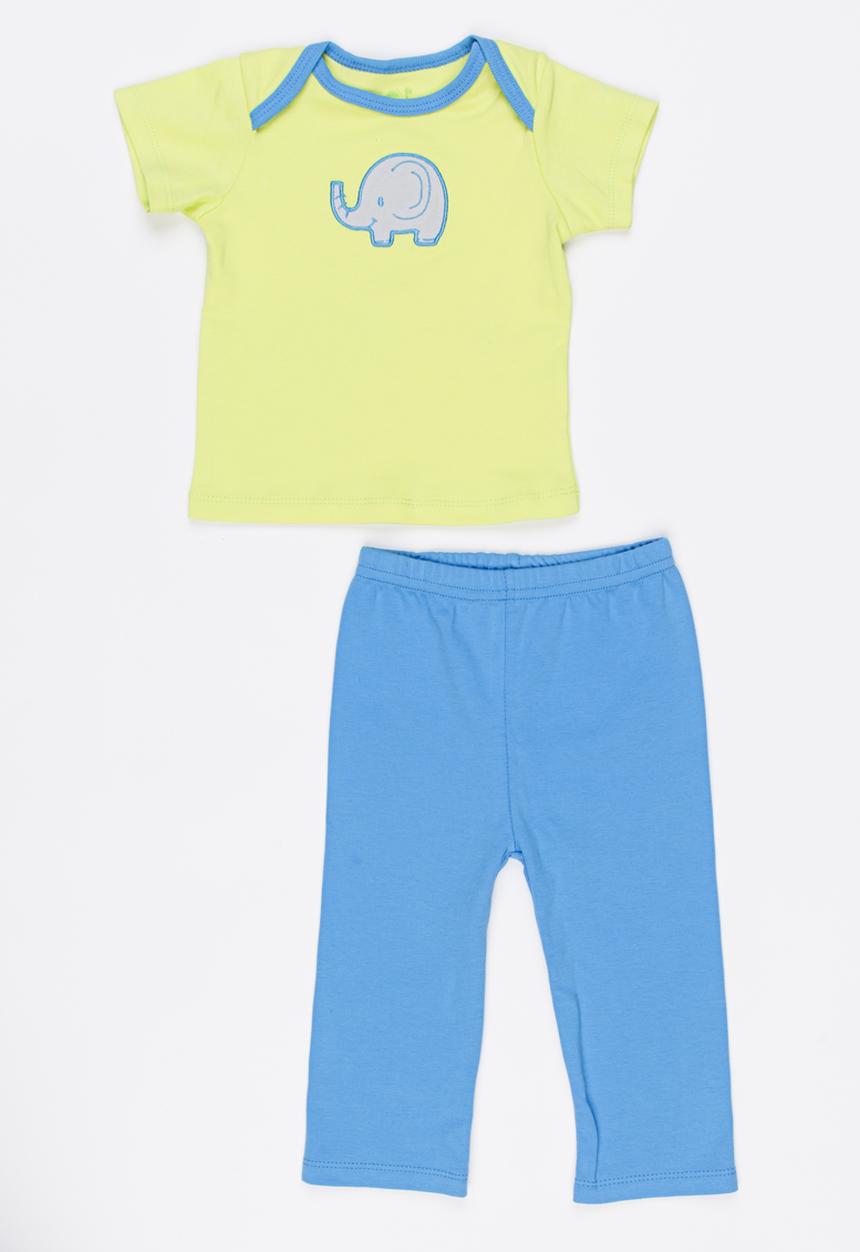 Pop Candy - 5 Piece Set Green