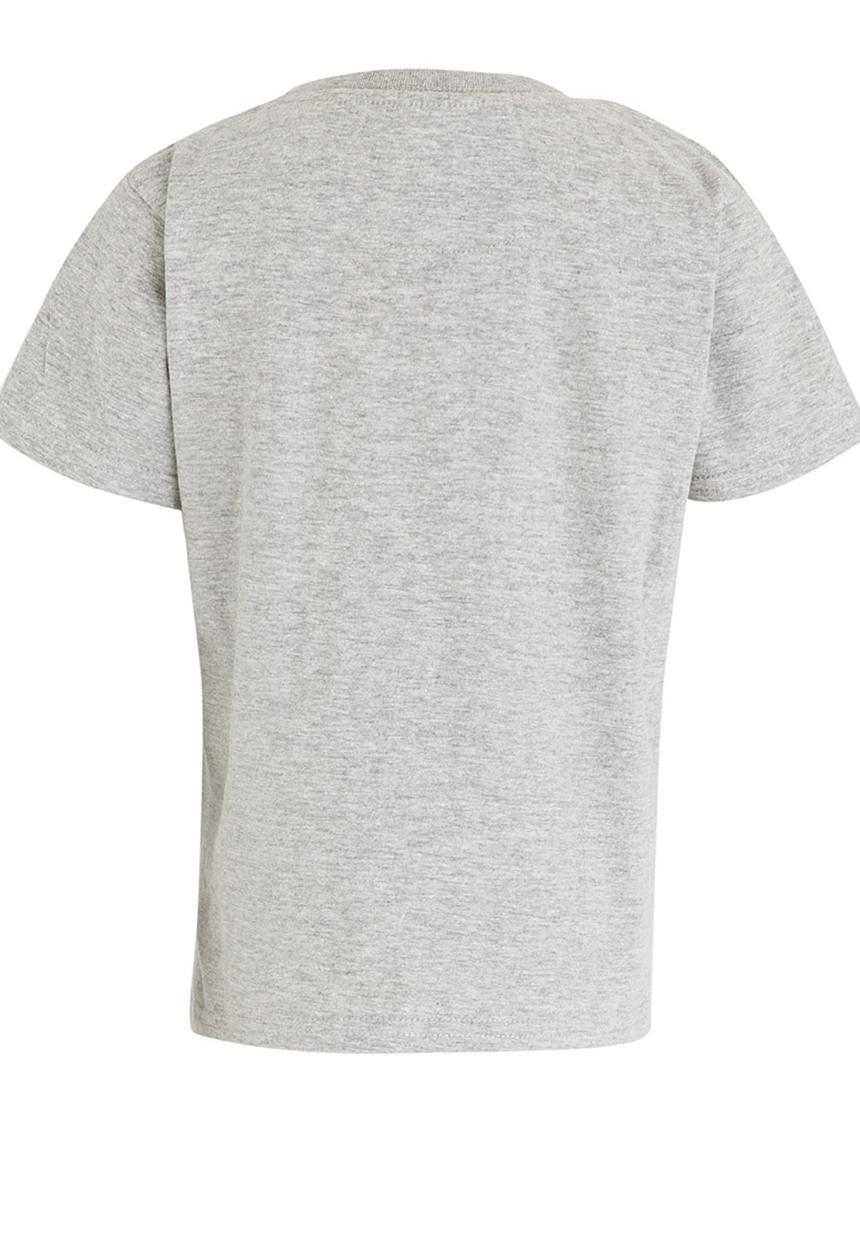 Lizzard - Terrill Tee Grey
