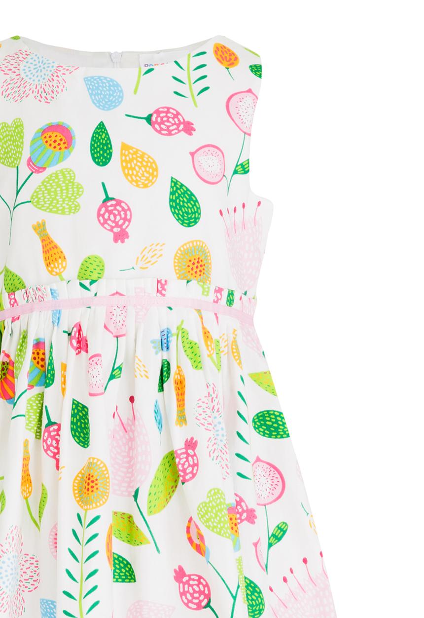 Pop Candy - Printed Dress Multi-colour