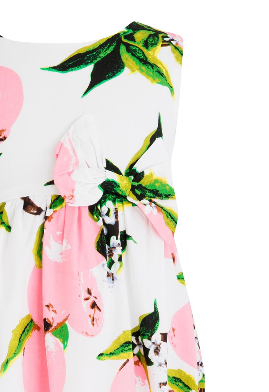 Pop Candy - Printed Dress with Bow Detail Multi-colour