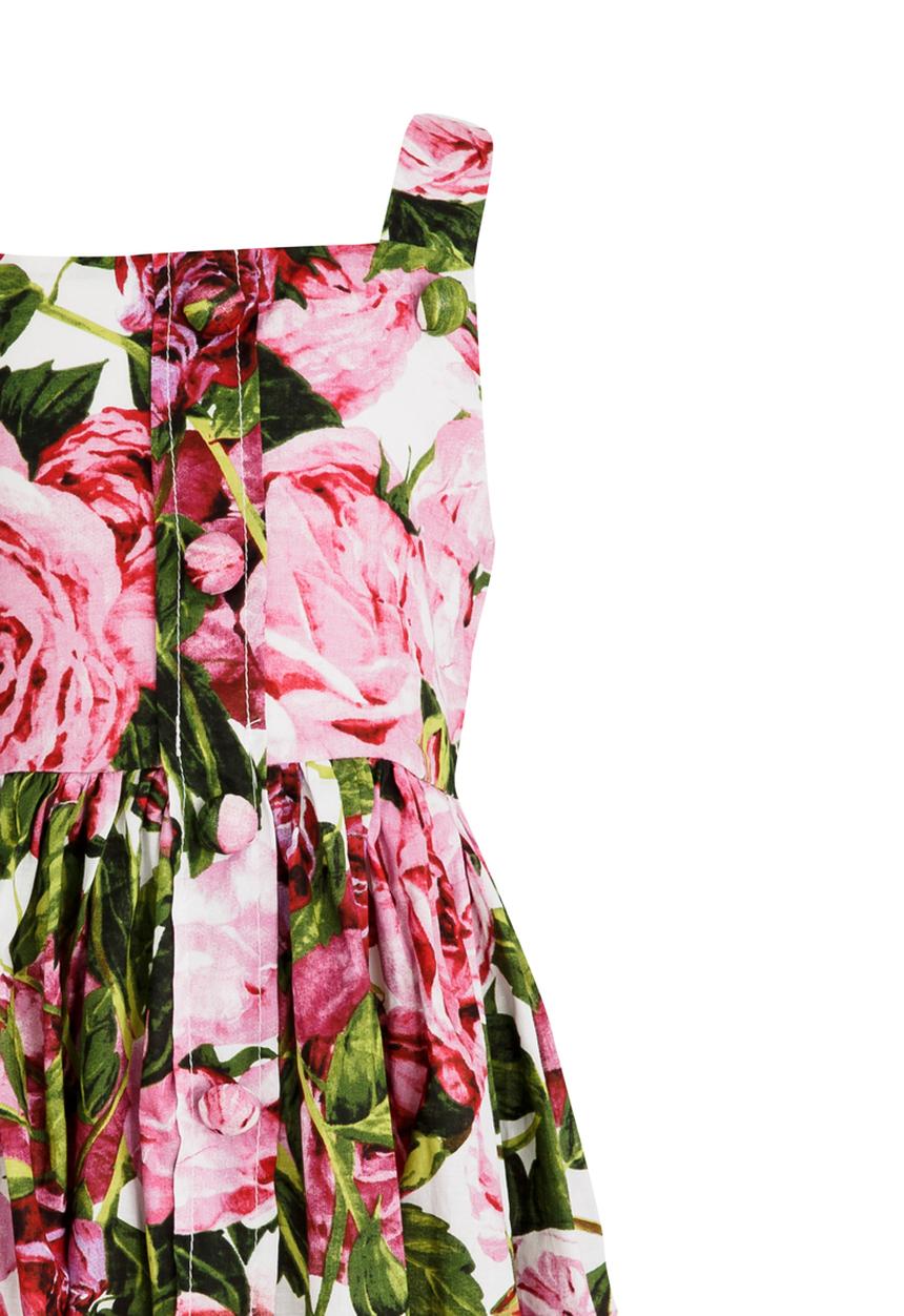 Pop Candy - Floral Dress Multi-colour
