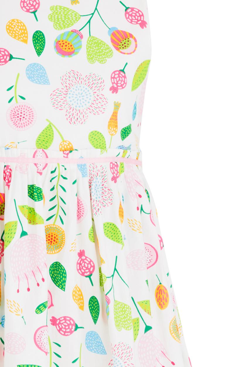 Pop Candy - Printed Dress Multi-colour