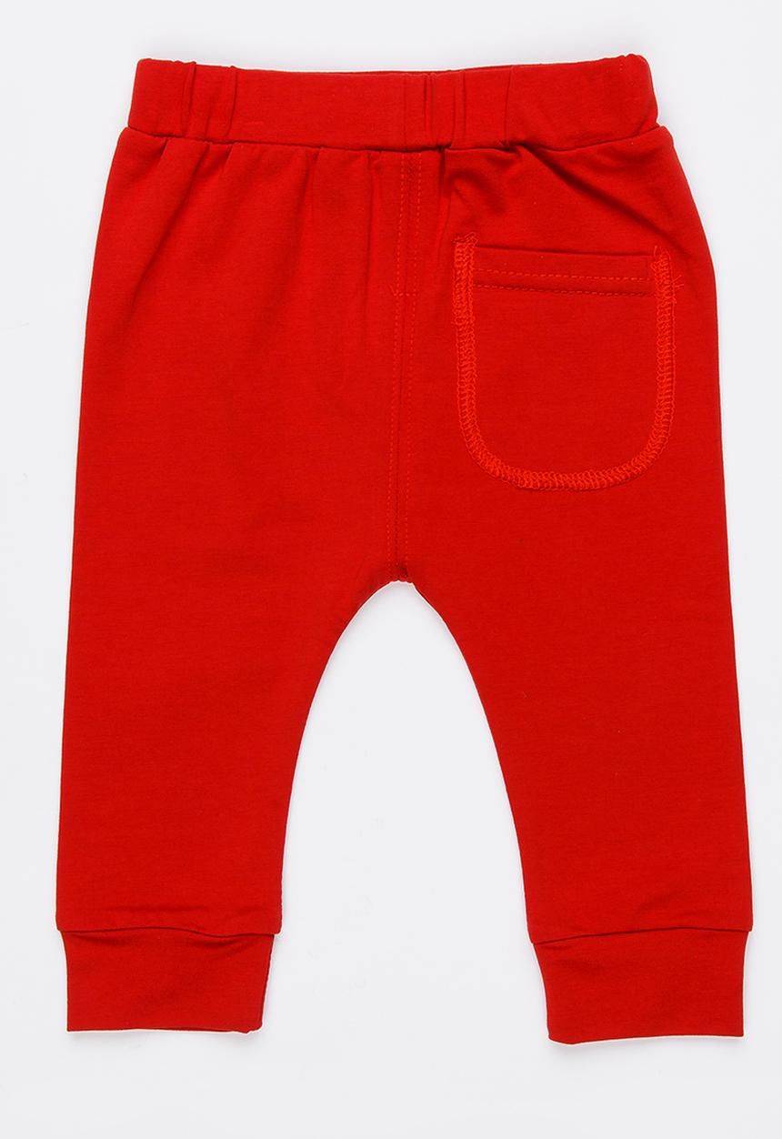 Pop Candy - Leggings Red
