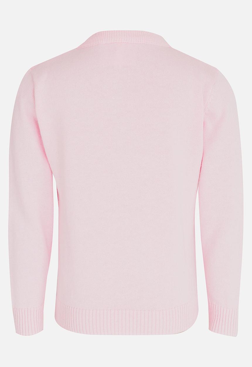 Pop Candy - Rose Detailed Jersey Pale Pink