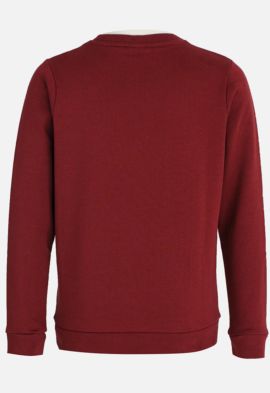 POLO - Dylan LS Panelled Sweater Burgundy