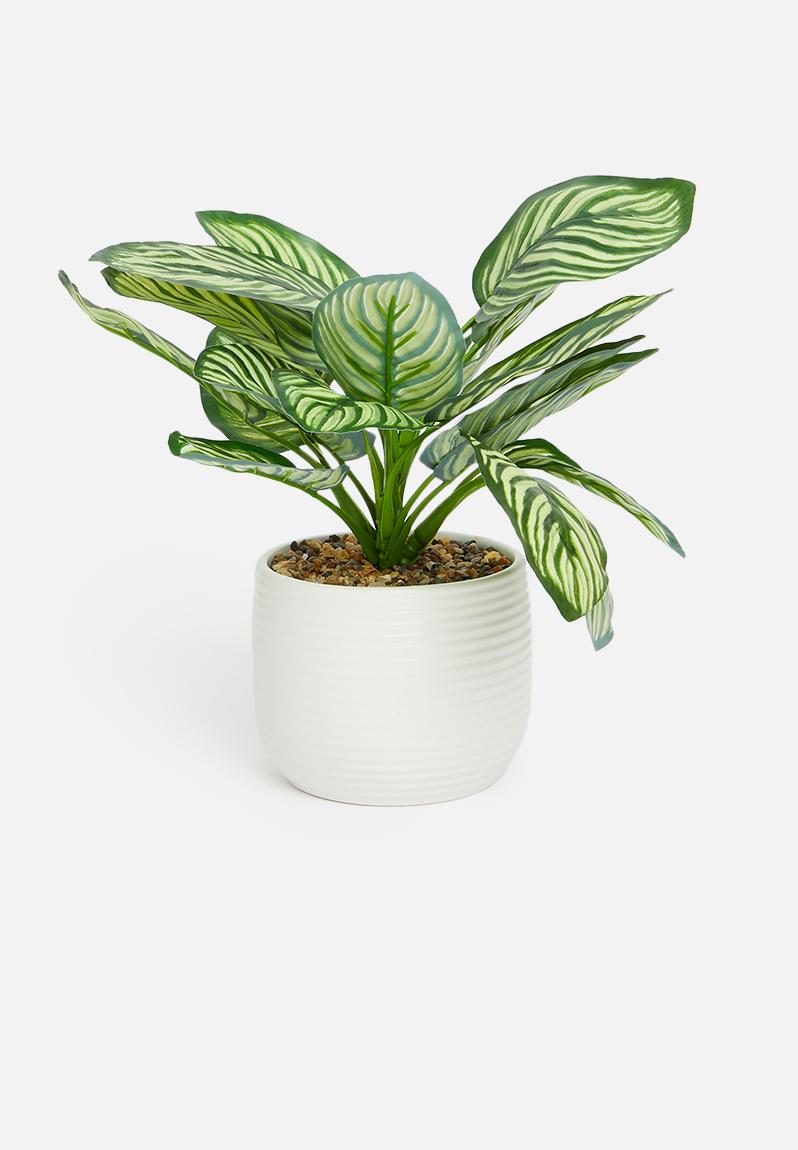 Potted artificial plant - white pot H&S Decor Accessories | Superbalist.com