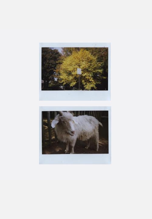 Fujifilm - Colour Film Instax Wide Film