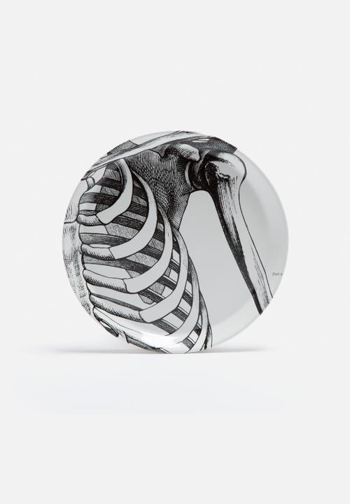 Studio No. 19 - Skeleton Plate Set of 12