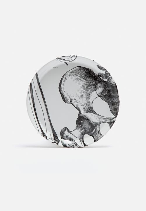 Studio No. 19 - Skeleton Plate Set of 12