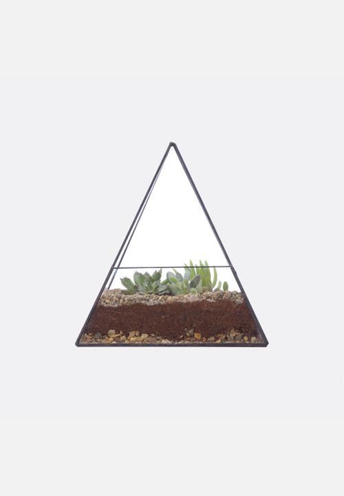 CINDERWOOD - Pyramid