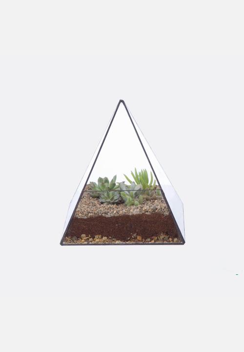 CINDERWOOD - Pyramid