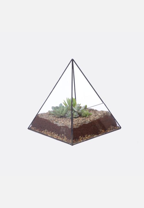 CINDERWOOD - Pyramid