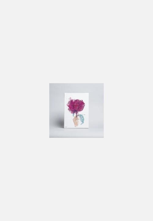 Sweet William - Just For You Peony