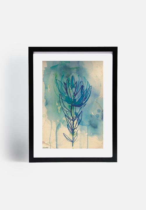 Sweet William - Blue Wash Protea