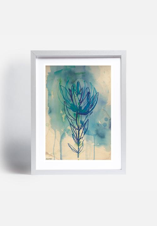 Sweet William - Blue Wash Protea