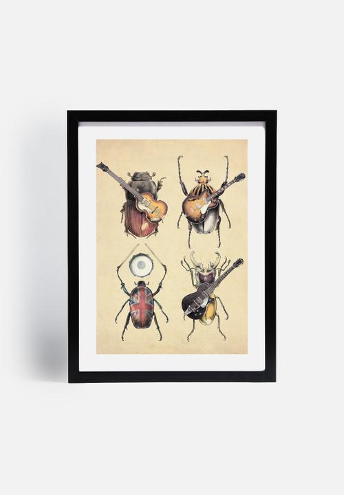 Eric Fan - Meet the Beetles