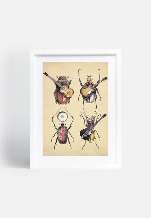 Eric Fan - Meet the Beetles