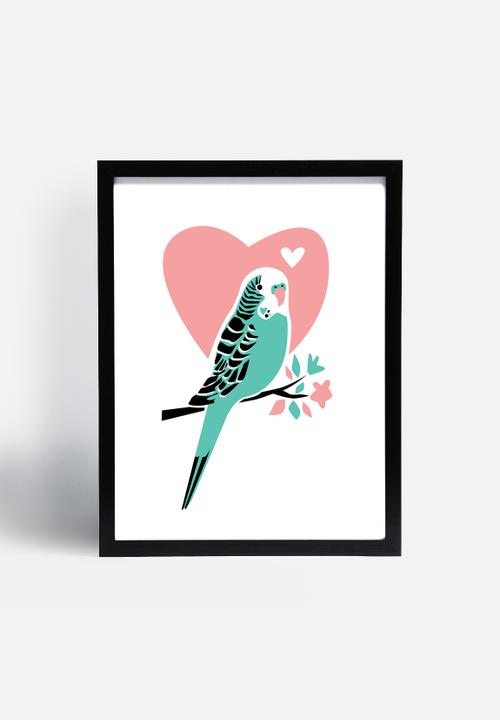 Jilly Jack - Parakeet